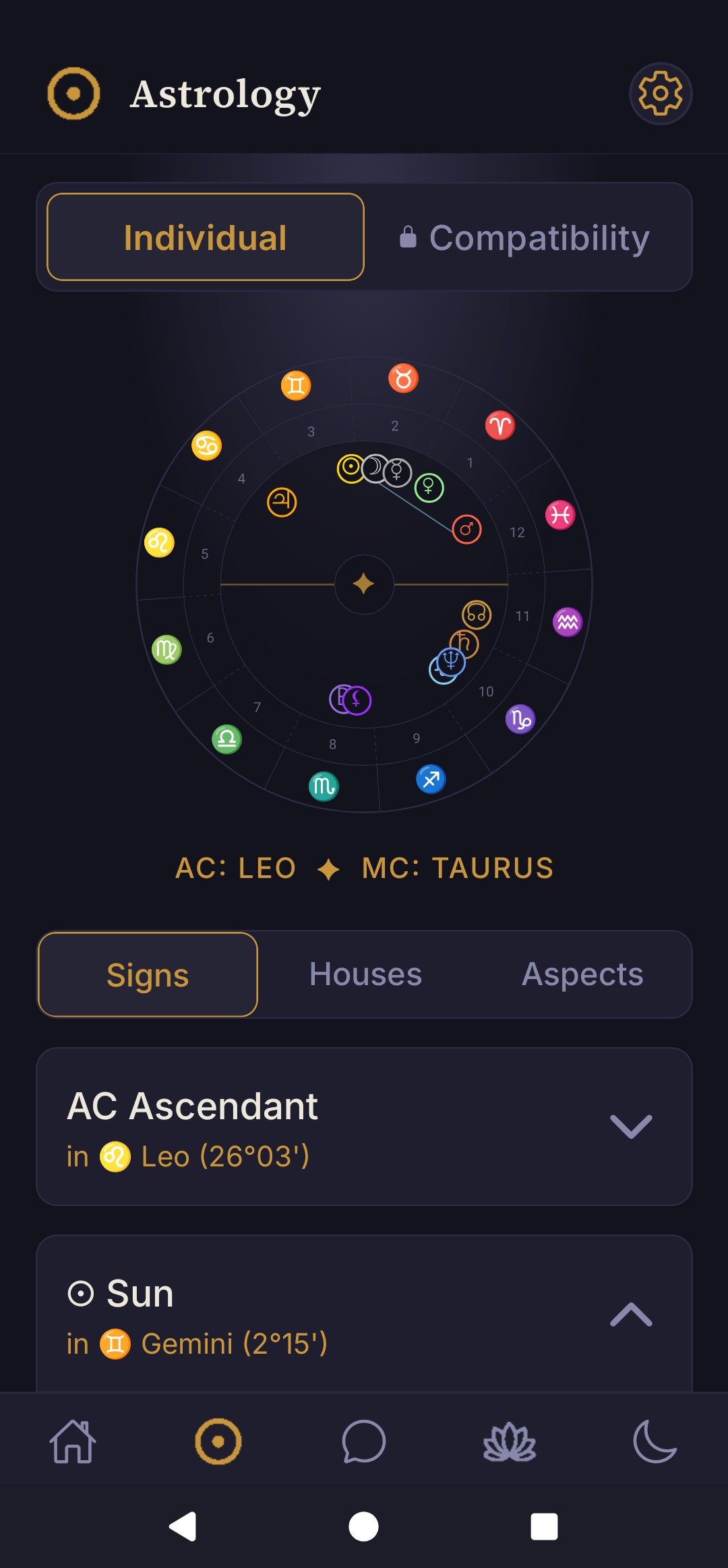 Wildflower astrology chart screen